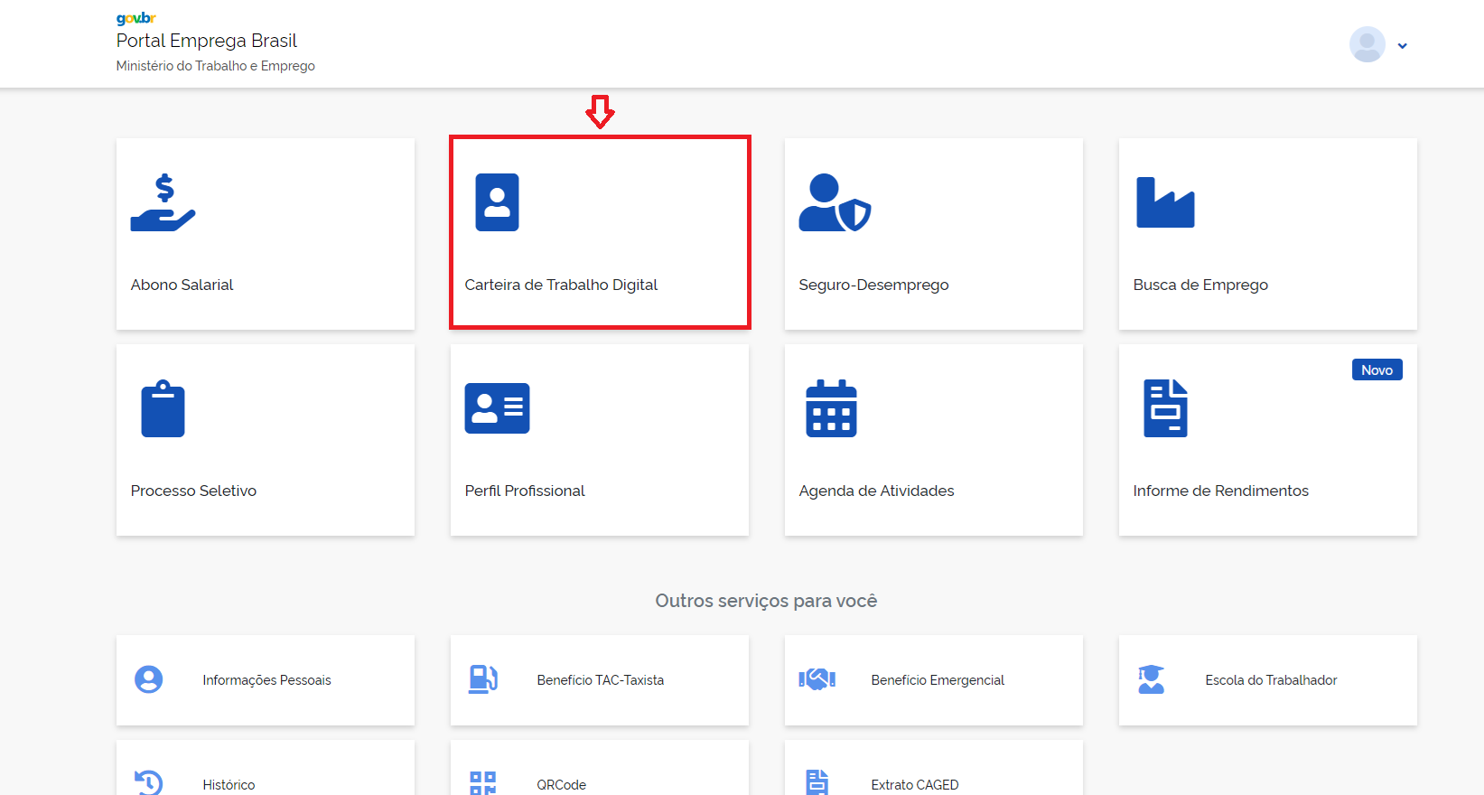 Acessando a Carteira de Trabalho Digital pelo GOV?
